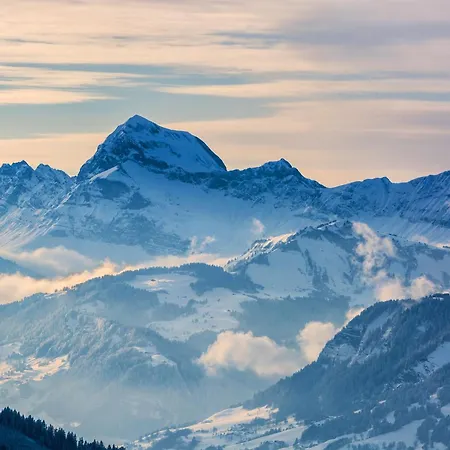 Chalet Saint Amour Village *